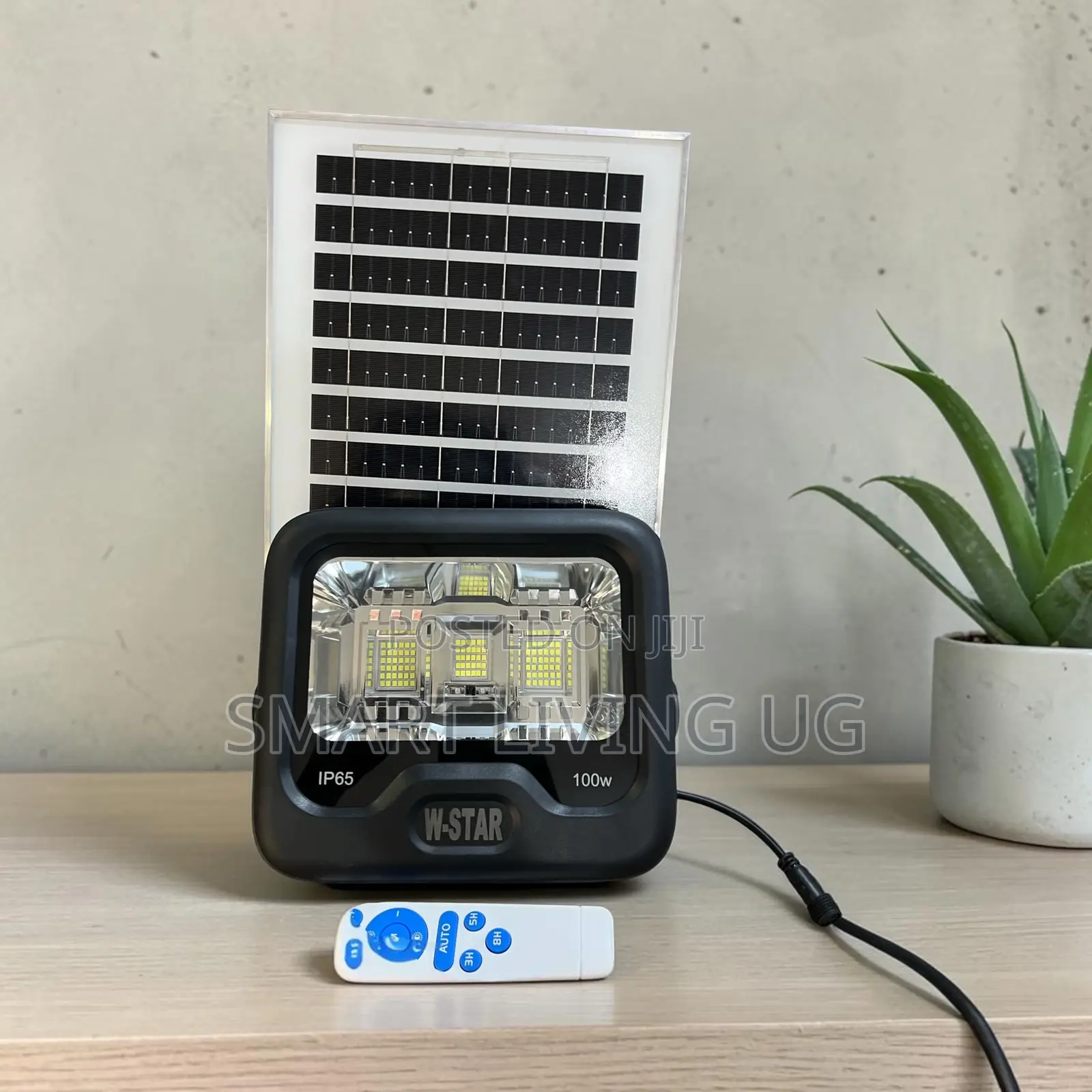 All-Weather 100W Solar Flood Light With Auto on/Off