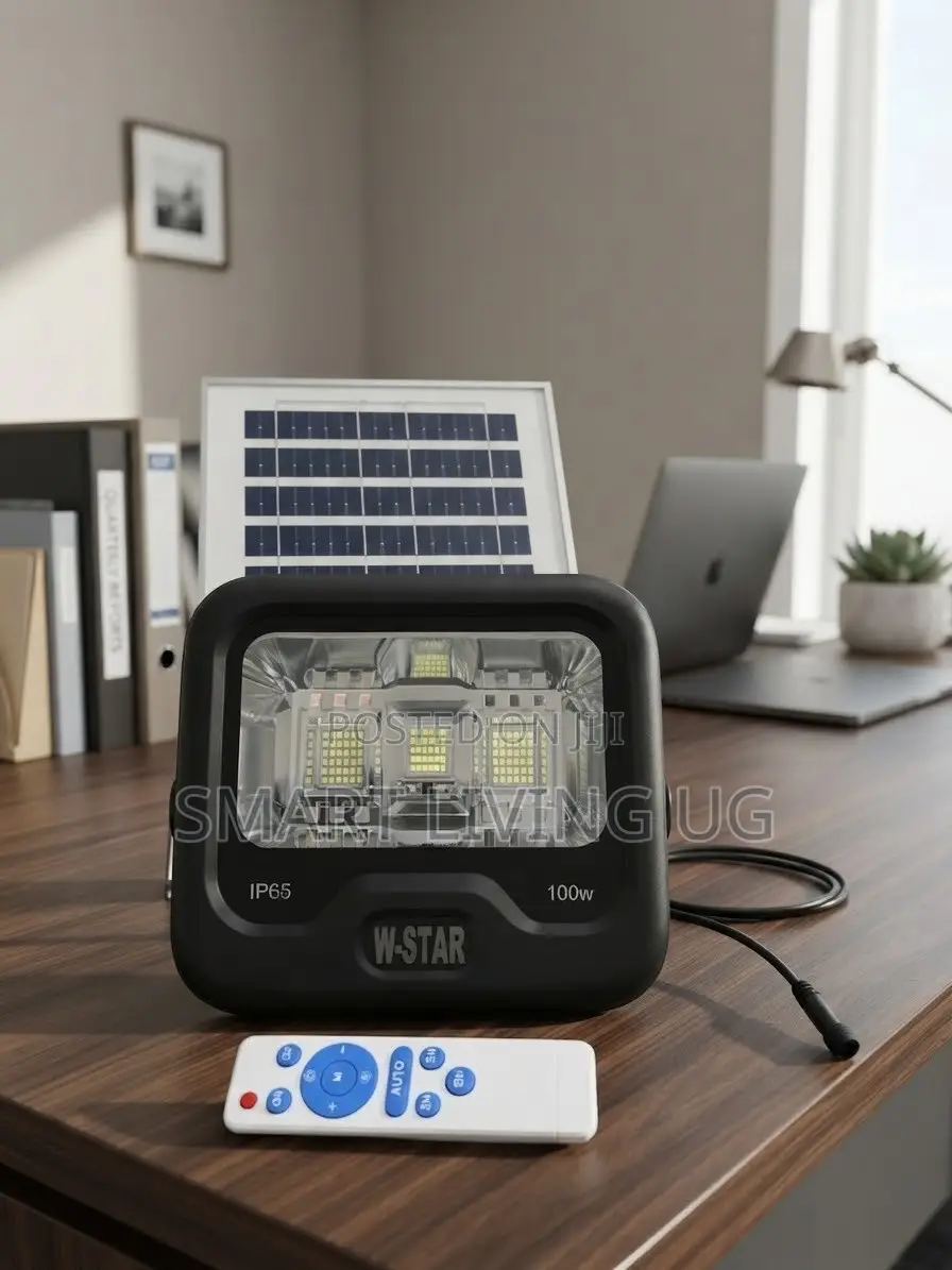 Heavy-Duty W-Star 100W Solar Floodlight for Gardens & Gates