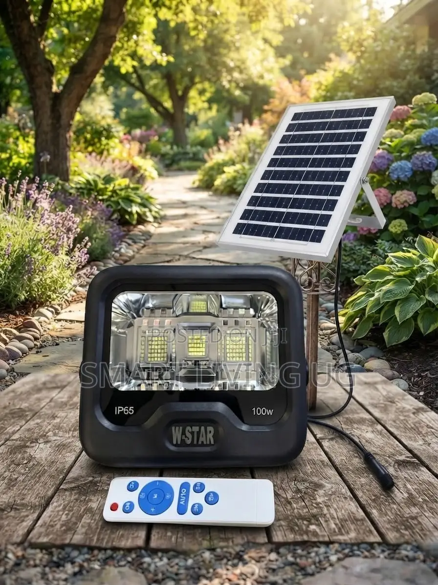 Heavy-Duty W-Star 100W Solar Floodlight for Gardens & Gates