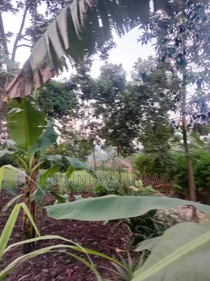 Furnished 3bdrm House in Kakerenge House, Wakiso / Wakiso for sale