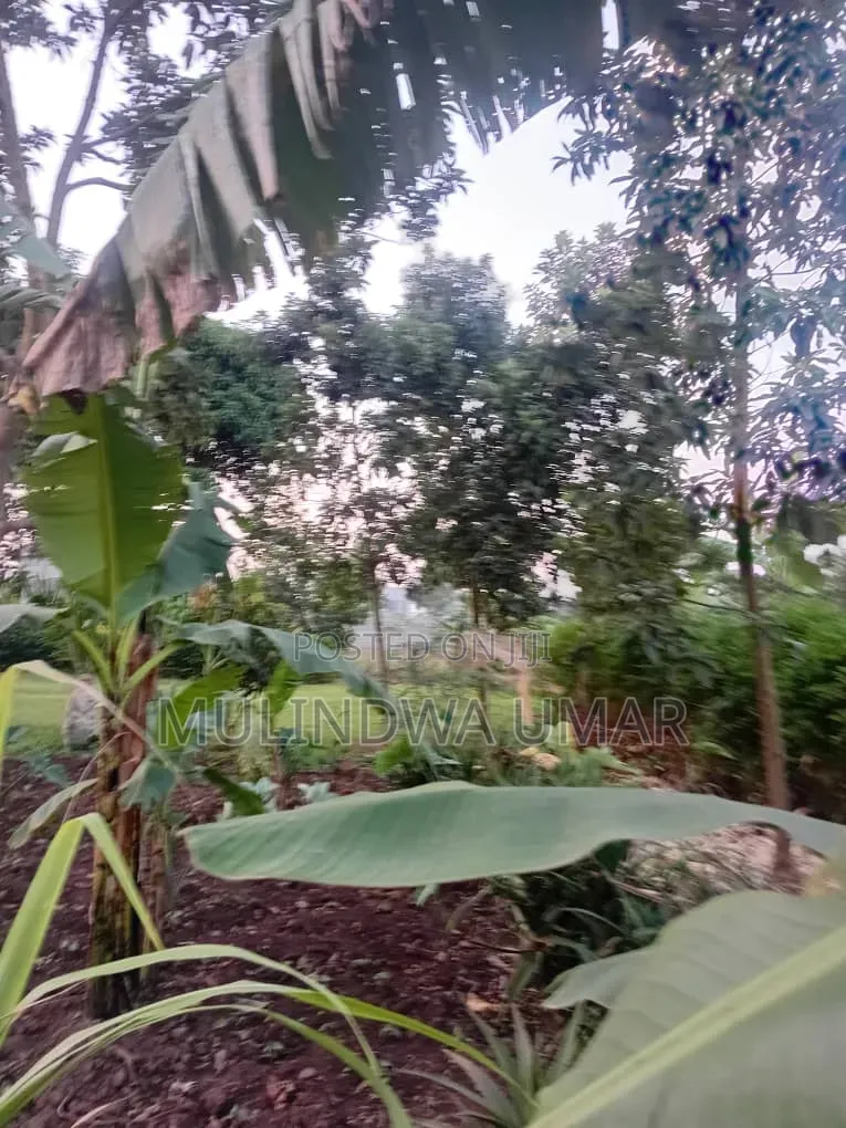 Furnished 3bdrm House in Kakerenge House, Wakiso / Wakiso for sale