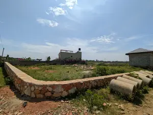 Lake View Garuga