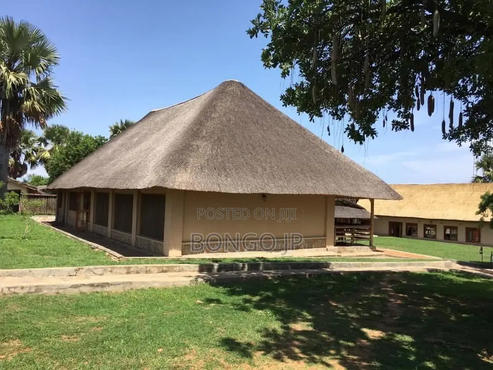 Steroid Flat Grass Roof