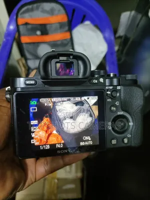 Sony Apha 7 + Sony FE 28-70mm Lens