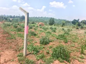 Plots for Sale – Namugongo Bukerere!