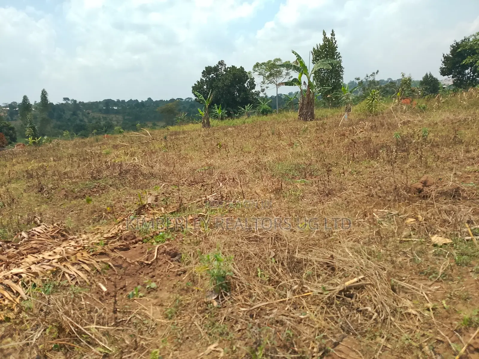 10 Plots for Sale – Kilolo Kabale!