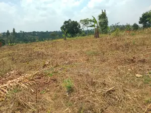 10 Plots for Sale – Kilolo Kabale!