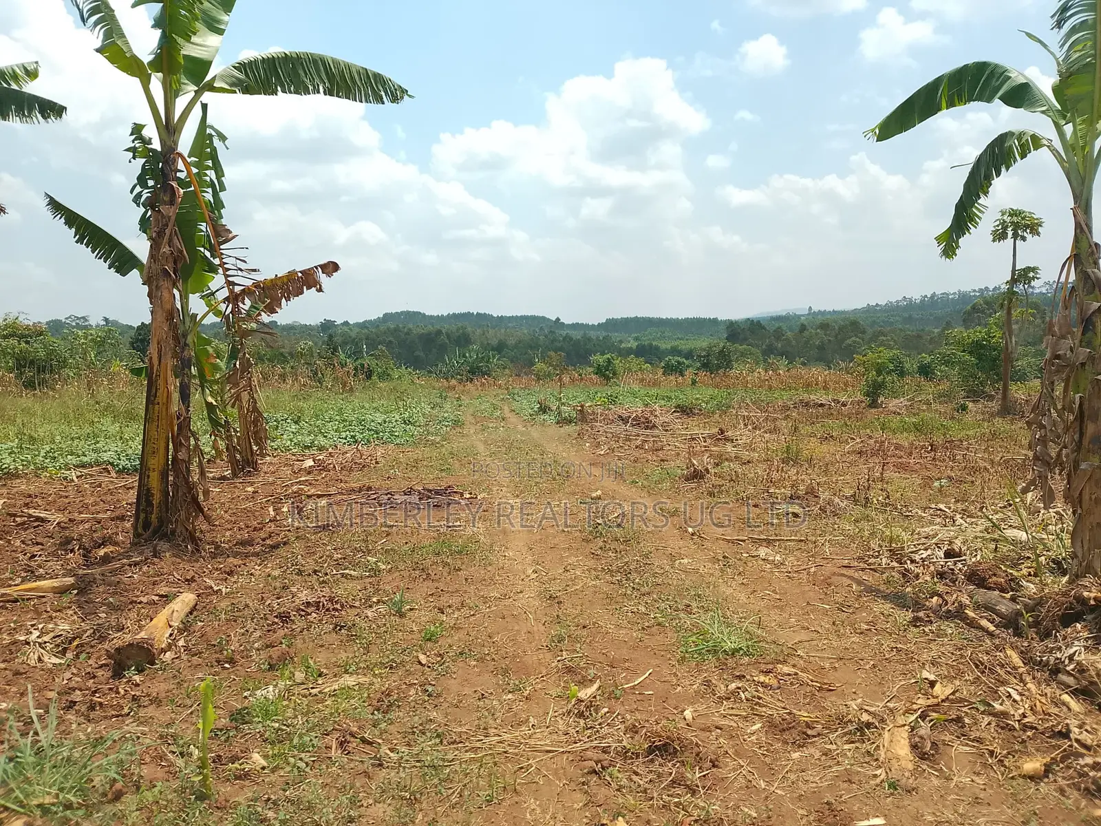 10 Plots for Sale – Kilolo Kabale!