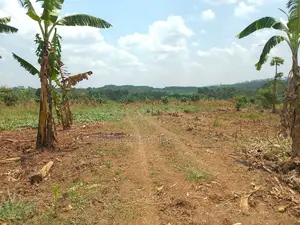 10 Plots for Sale – Kilolo Kabale!