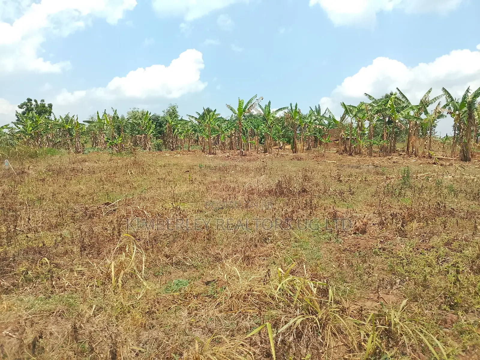 10 Plots for Sale – Kilolo Kabale!