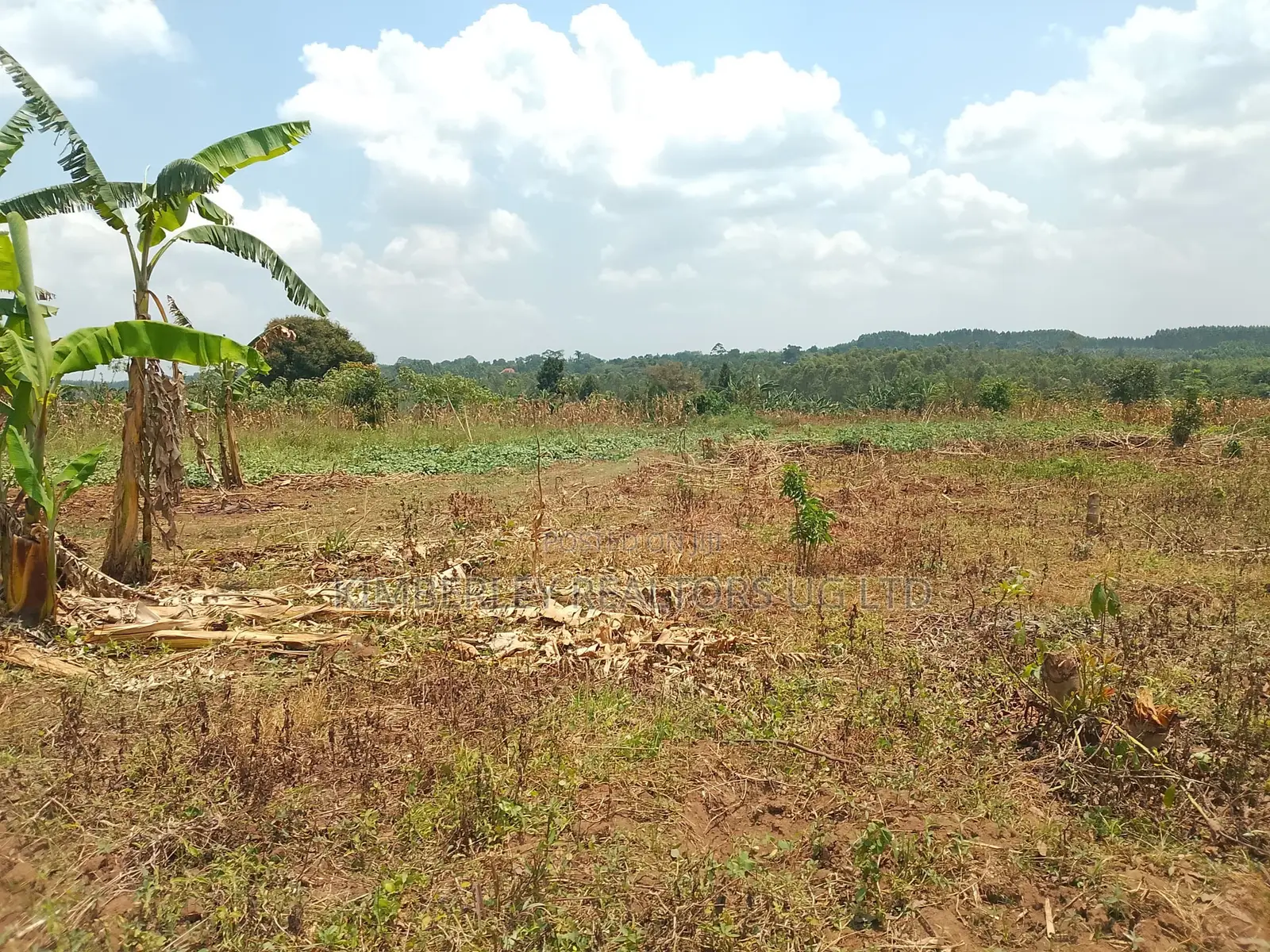10 Plots for Sale – Kilolo Kabale!