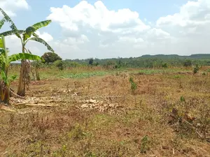 10 Plots for Sale – Kilolo Kabale!