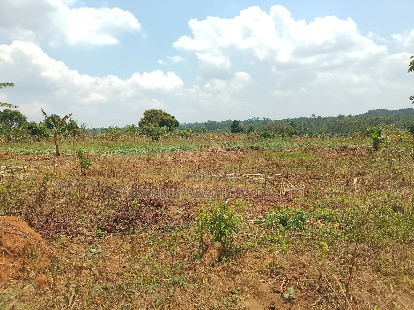 10 Plots for Sale – Kilolo Kabale!