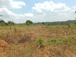 10 Plots for Sale – Kilolo Kabale!