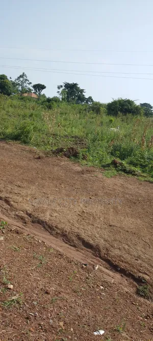 35 Acer of Land for Sale in Bukeddea at Only 45m Per Acre