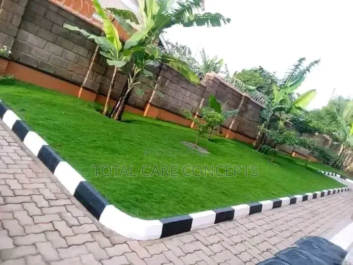 Compound Experts and Landscaping Services