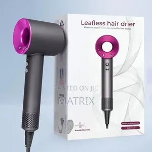Leafless Electric Hair Dryer
