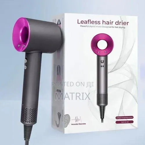 Leafless Electric Hair Dryer