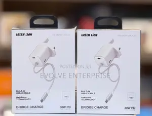 Green Lion 30W Bridge Charge Integrated Gan Adapter 30W