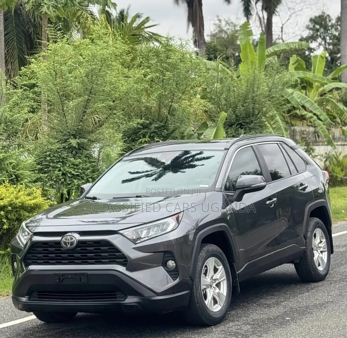 Toyota RAV4 LE AWD 2019