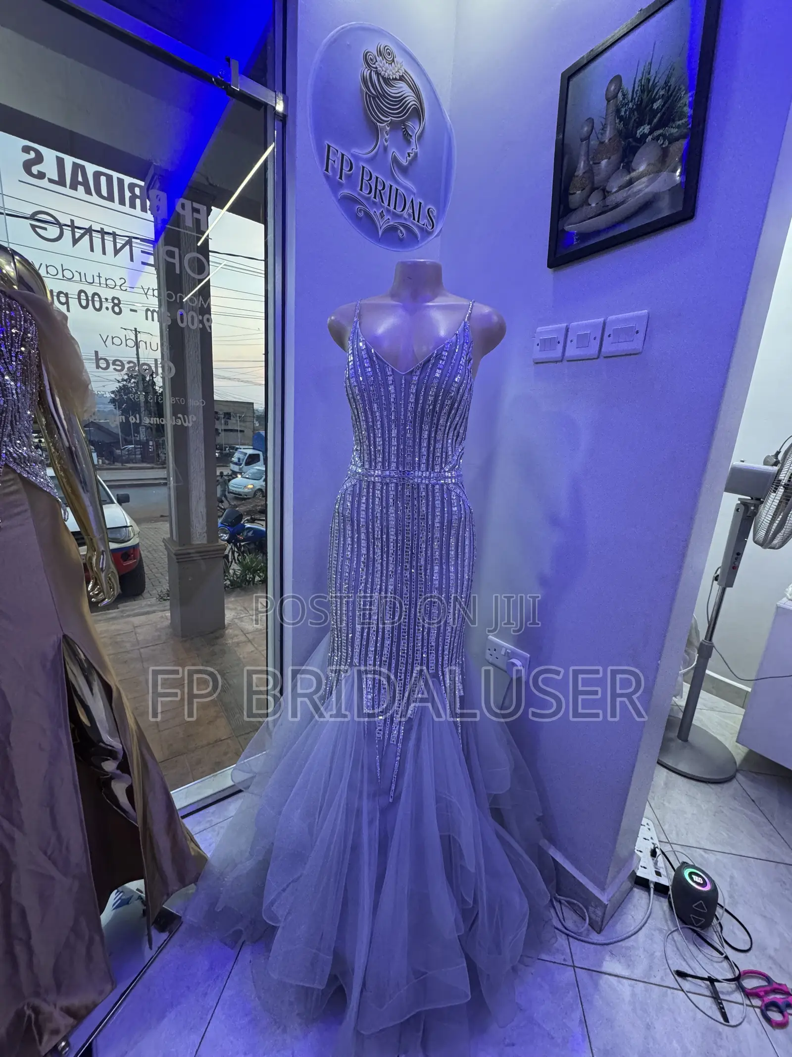 Long Mermaid Dress for Hire X3 Changing Dress