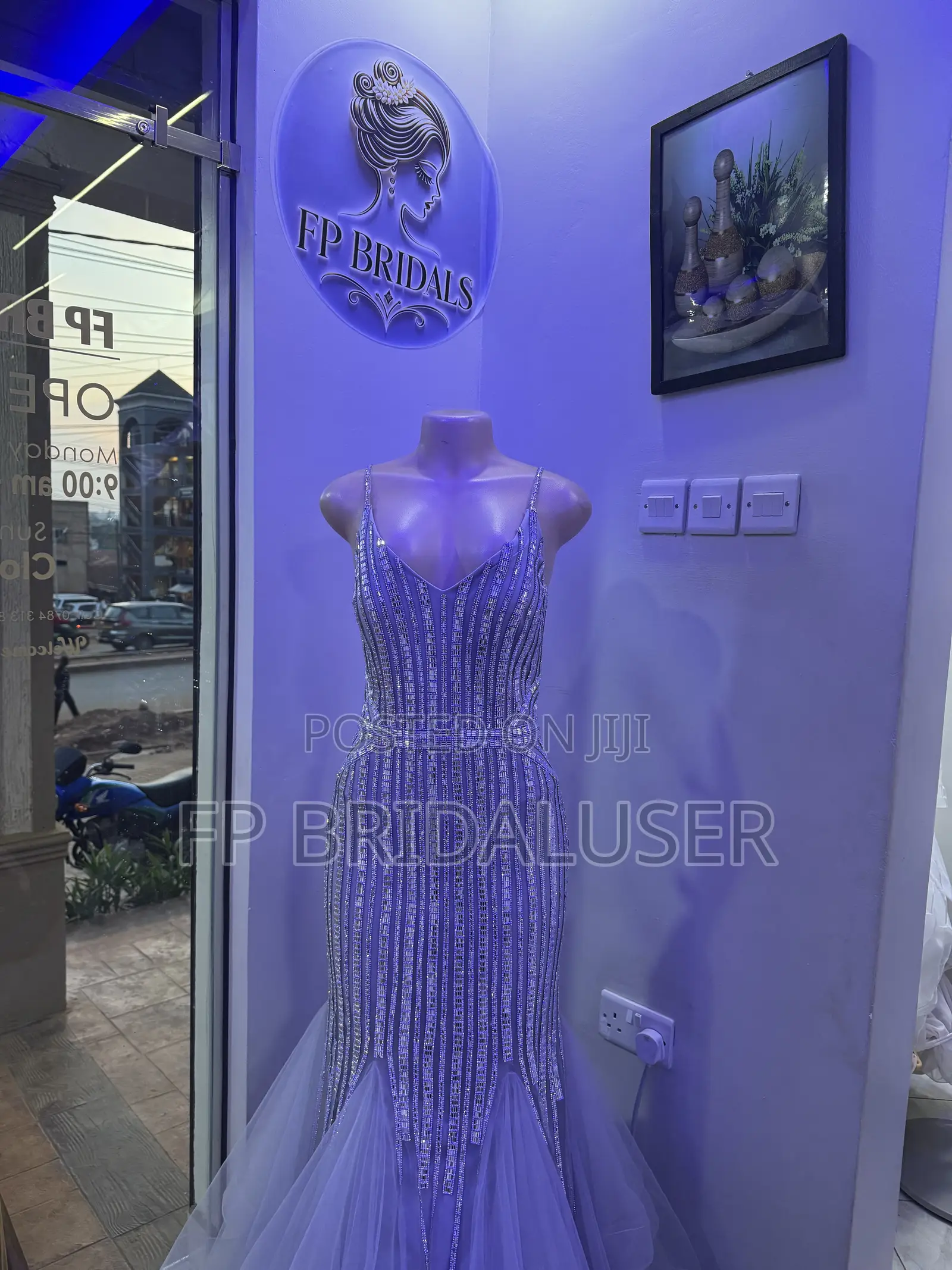 Long Mermaid Dress for Hire X3 Changing Dress