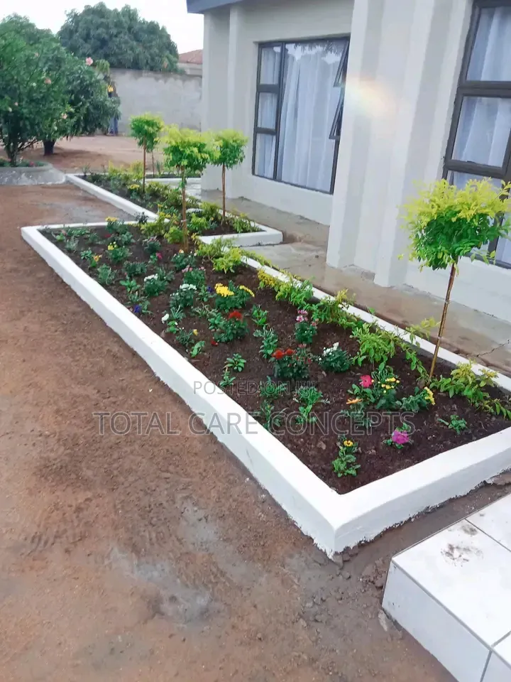 Elegant Modern Compound Designers and Landscapers
