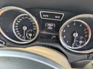 Mercedes-Benz M Class 2015 Silver