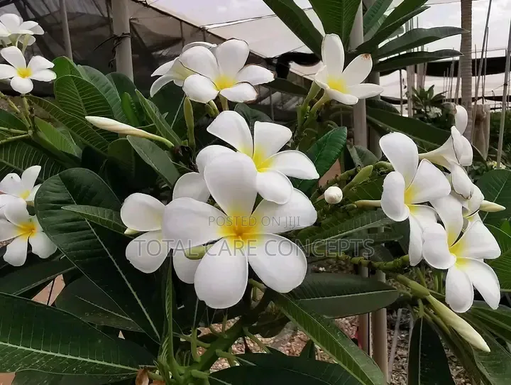Unique Gardening Concepts and Landscaping Services