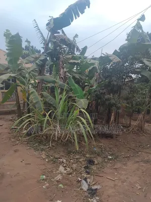 Furnished 3bdrm House in Kasengejje House, Wakiso / Wakiso for sale