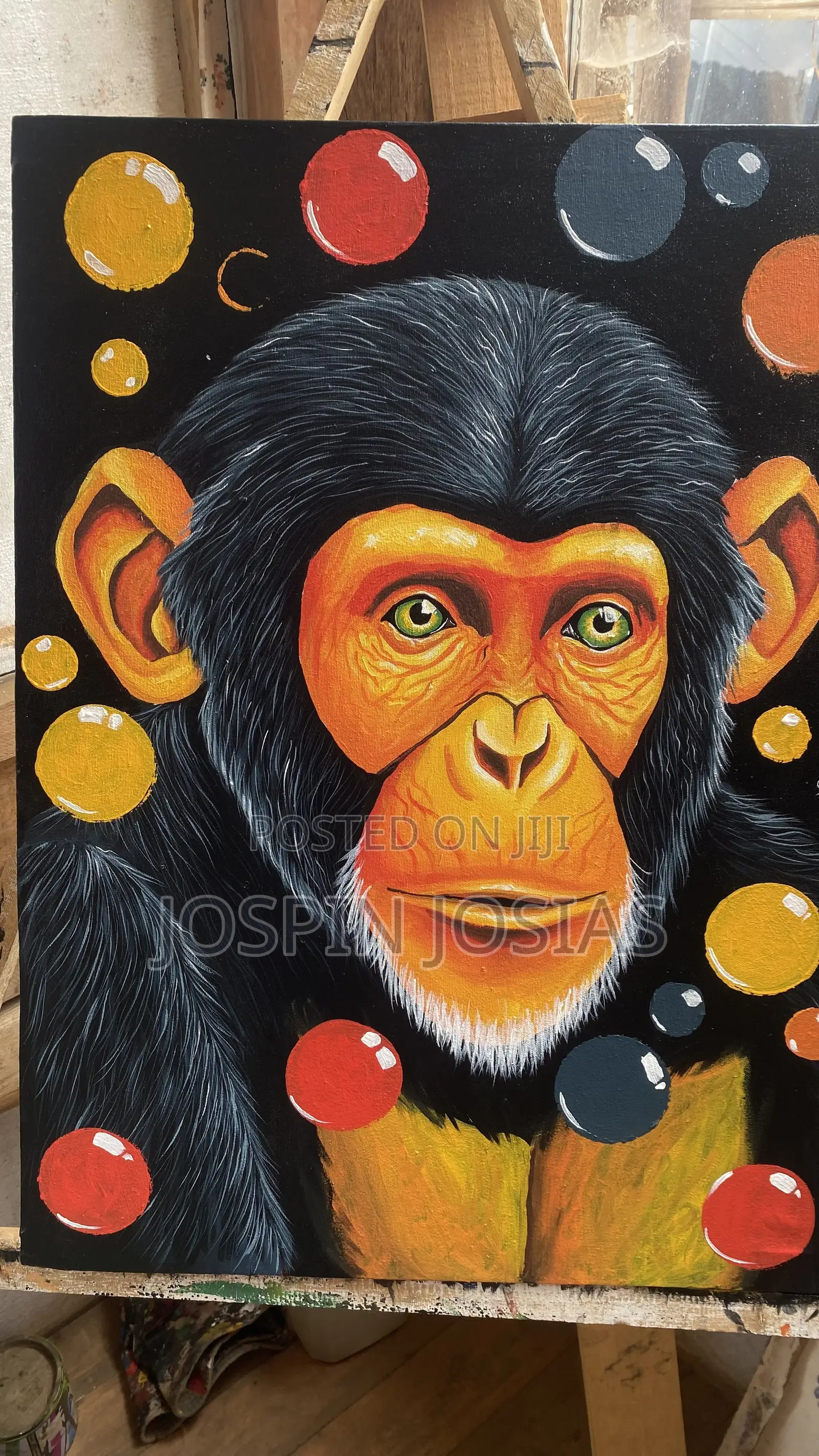 Chimpanzee