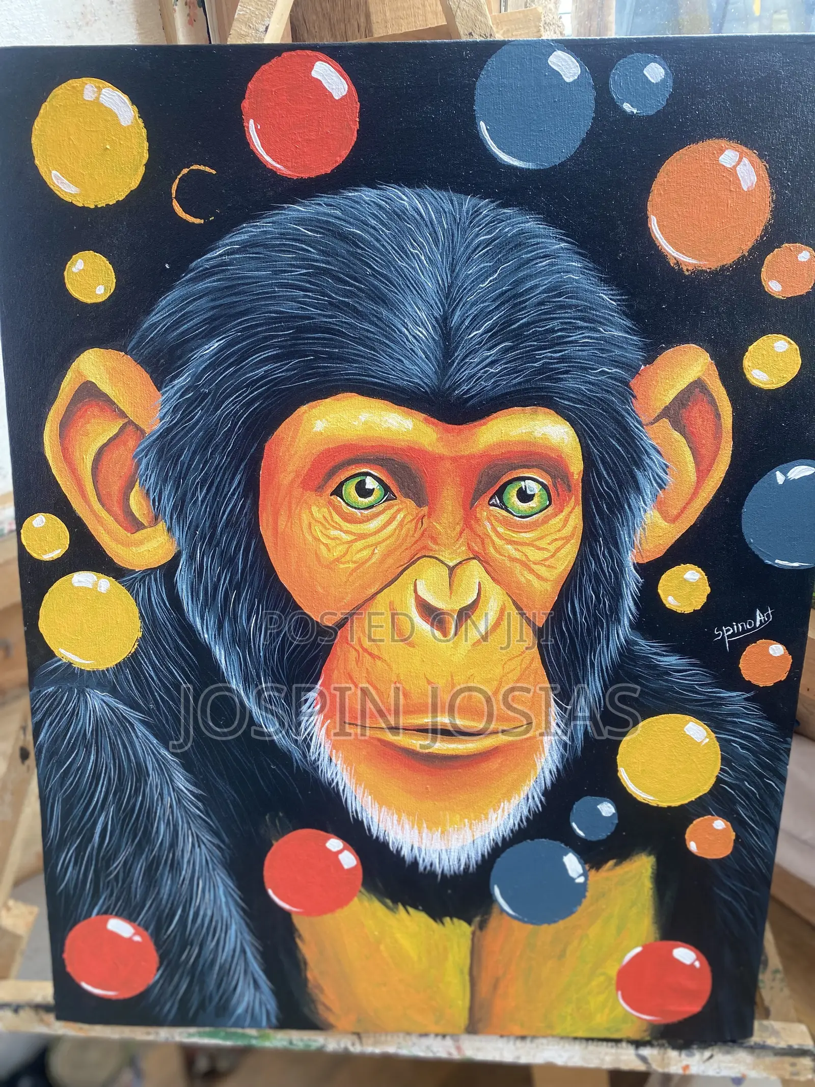 Chimpanzee