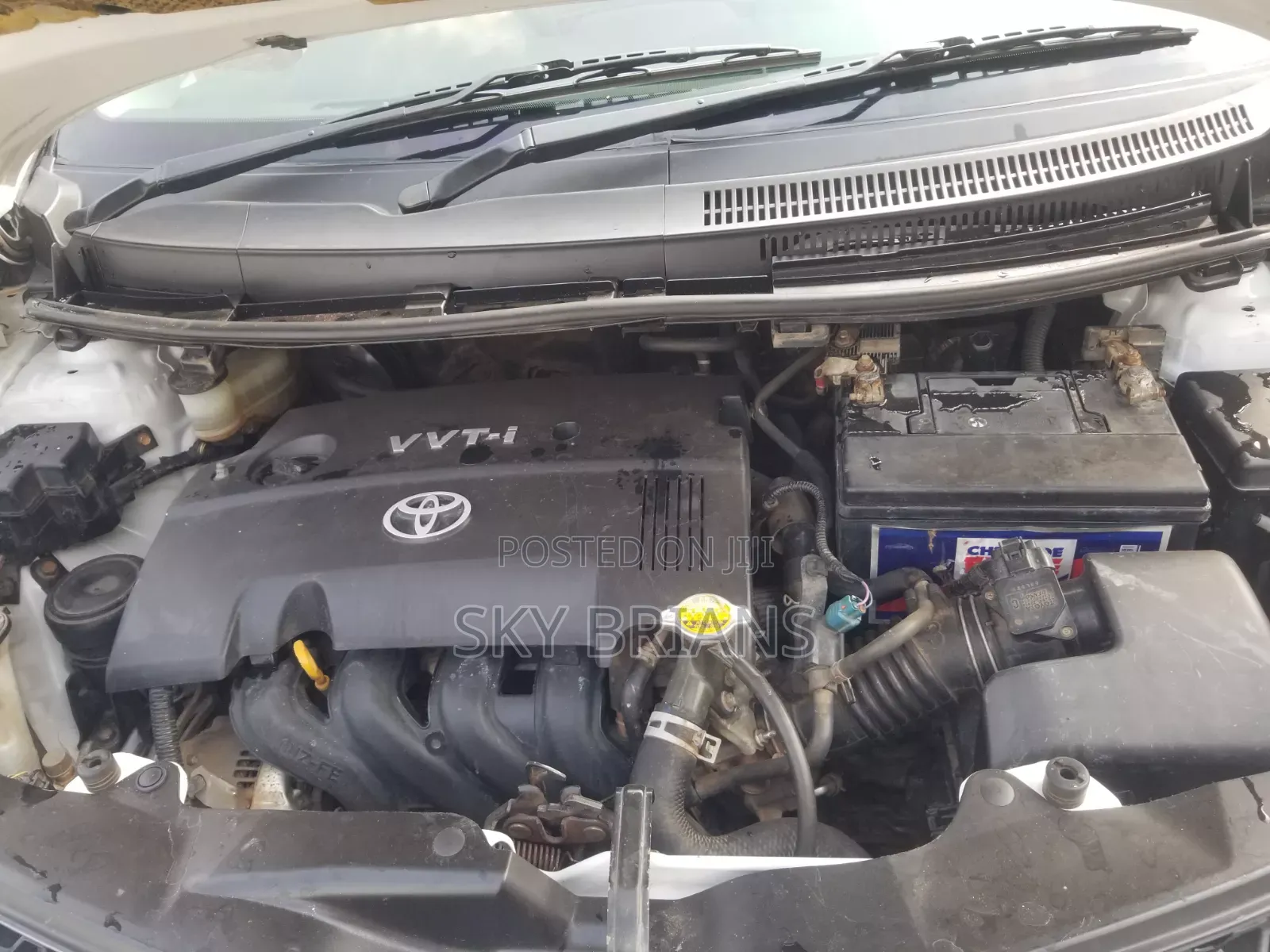 Toyota IST 2010 White