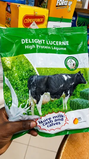 Advanta Delight Lucerne High Protein Legume