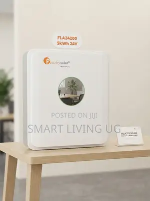 Uninterrupted Power: Felicity Solar 5kWh 24V Home Backup Battery
