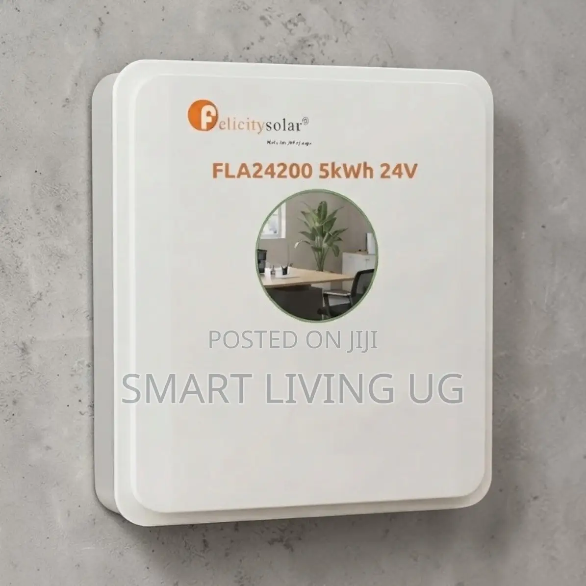 Uninterrupted Power: Felicity Solar 5kWh 24V Home Backup Battery