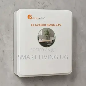 Uninterrupted Power: Felicity Solar 5kWh 24V Home Backup Battery