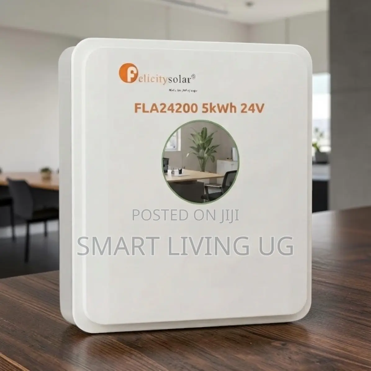 Next-Gen Felicity Solar 24V 5kWh Lithium Energy Storage System