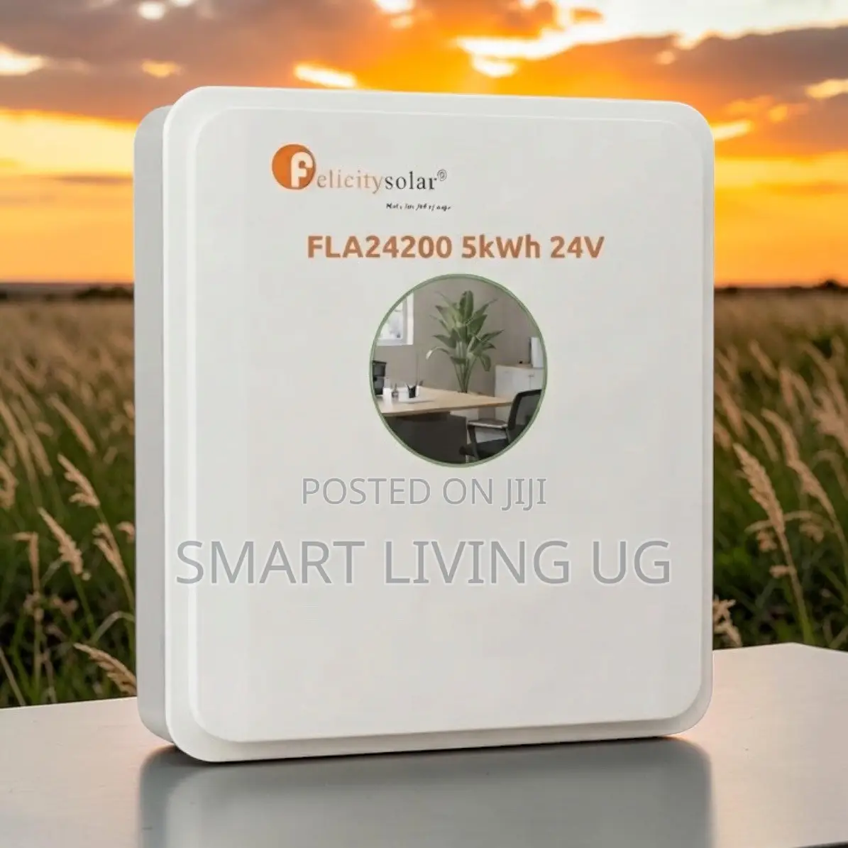 Commercial Grade Felicity Solar 24V 5kWh Lithium Battery Pack