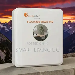 High-Efficiency Felicity Solar 24V 5kWh Inverter-Compatible Battery