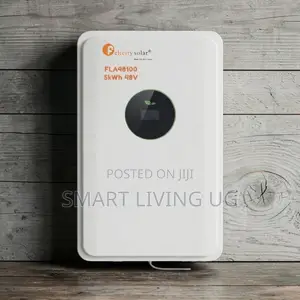 Premium Felicity 5kWh Lithium Battery – 48V 100Ah
