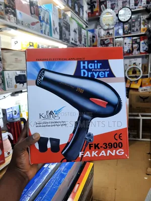 Fakang Professional Hair Dryer (Model FK-3900)