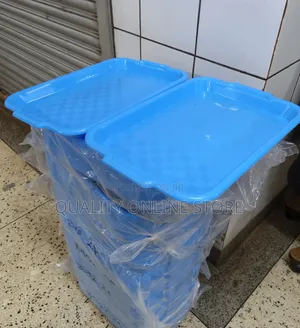 Light Blue Plastic Serving Trays Plastic Serving Trays 12pcs