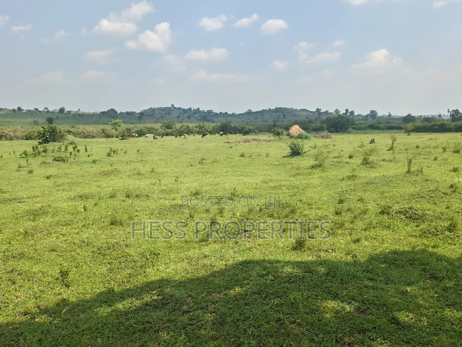 Farmland Seated on 14acres