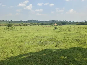 Farmland Seated on 14acres