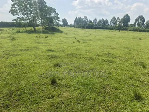 Farmland Seated on 14acres
