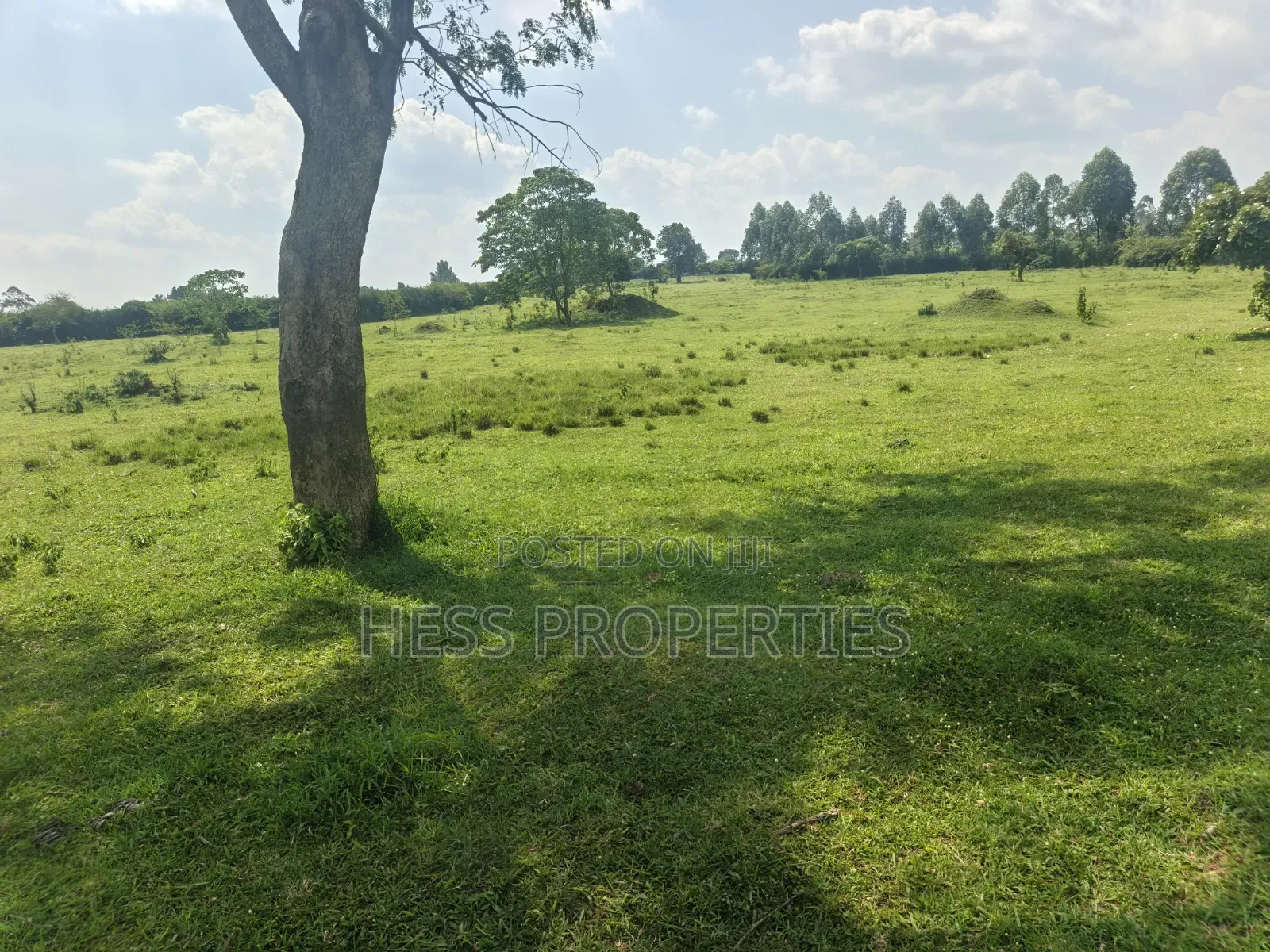 Farmland Seated on 14acres