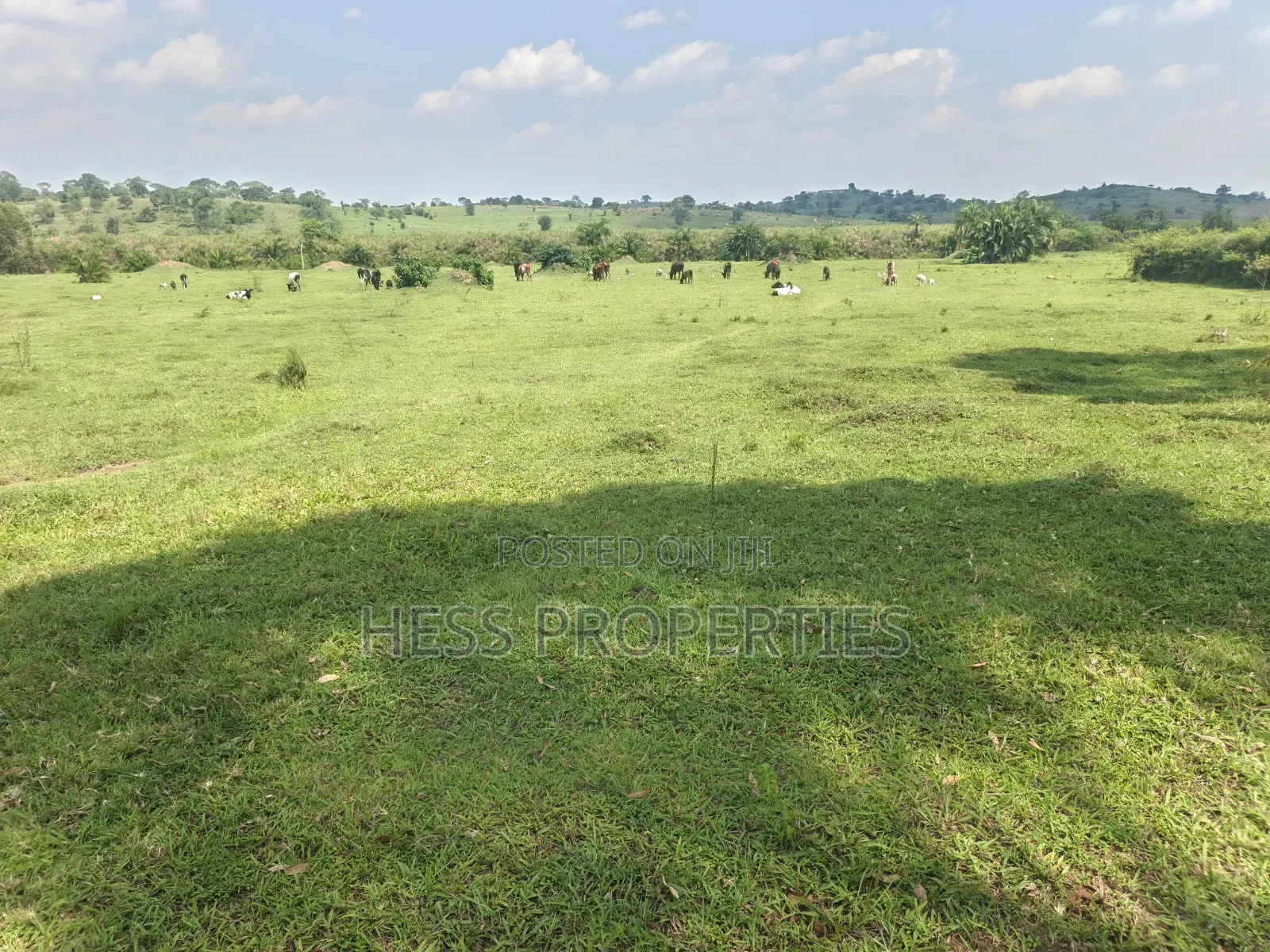 Farmland Seated on 14acres