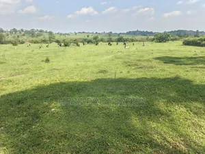 Farmland Seated on 14acres