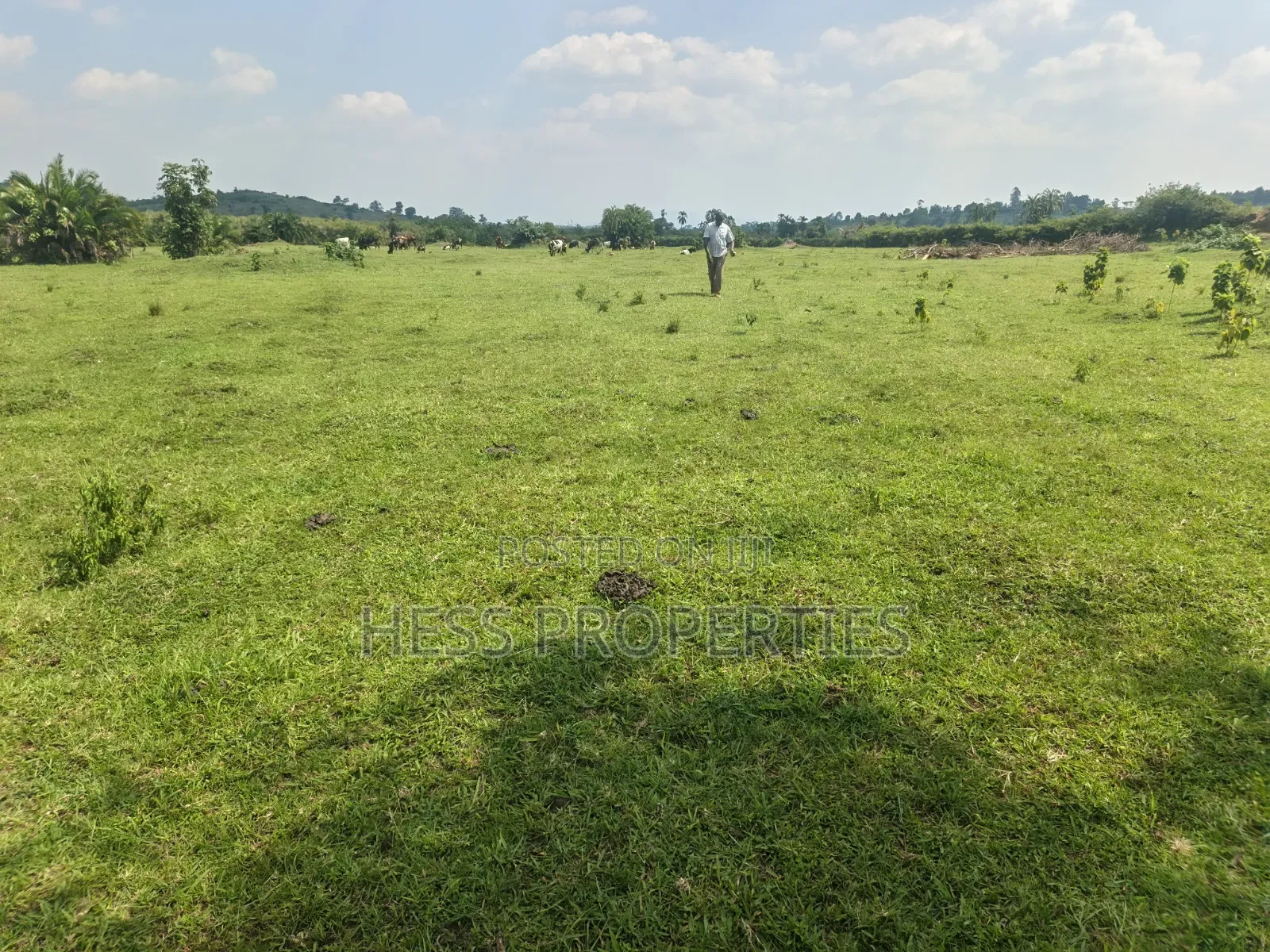 Farmland Seated on 14acres